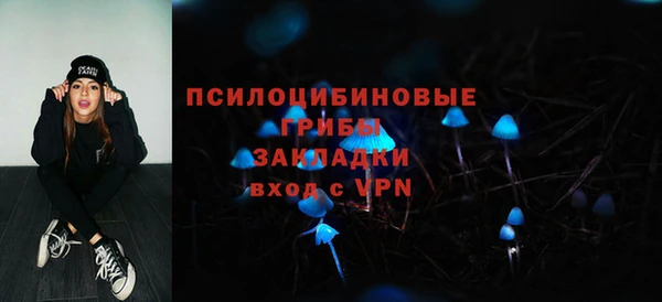 винт Абинск