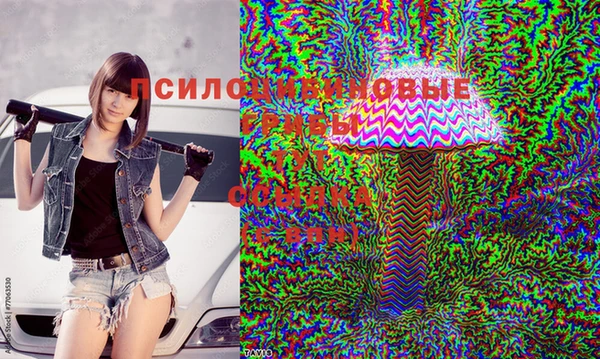 спайс Абаза