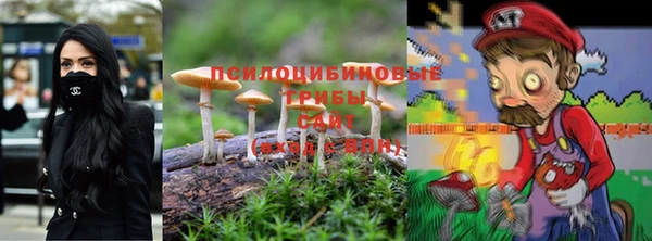 винт Абинск