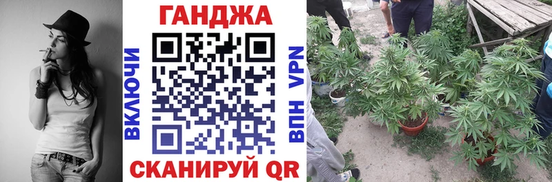 Бошки Шишки семена  где найти   Никольск 